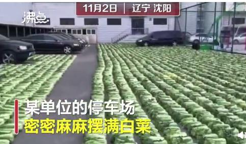 宇宙的尽头是美食,宇宙的尽头美食