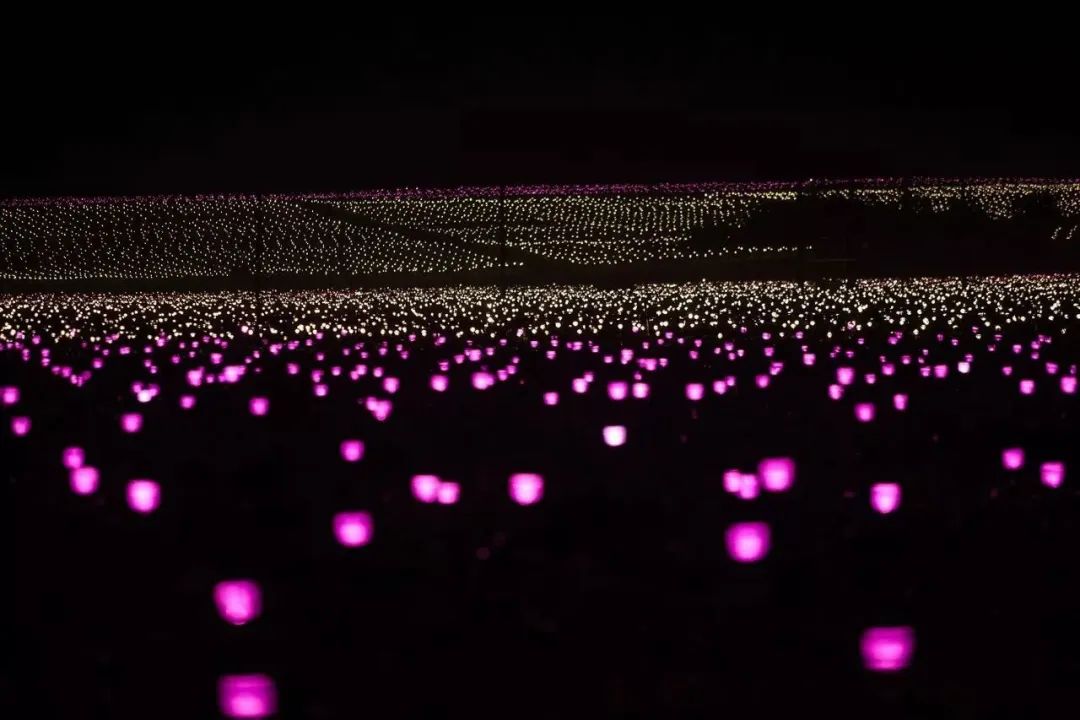 旅游推介路线|旅游+休闲农业体验一日游