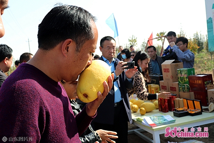 做自己最忠实的记录者,做一个有温度的记录者