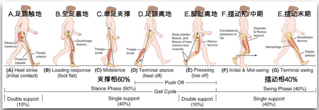 腿粗暗沉粗糙？为什么教程也救不了你的颜值bug？