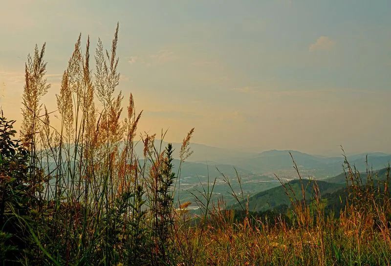 潮玩展昆明,潮玩云南