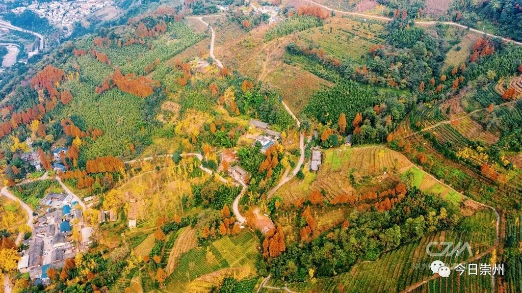 初秋彩林成都周边秘境,成都附近彩林秘境