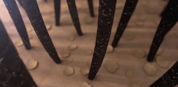 火遍全网的生发养发防脱固发,去屑止痒防脱养发