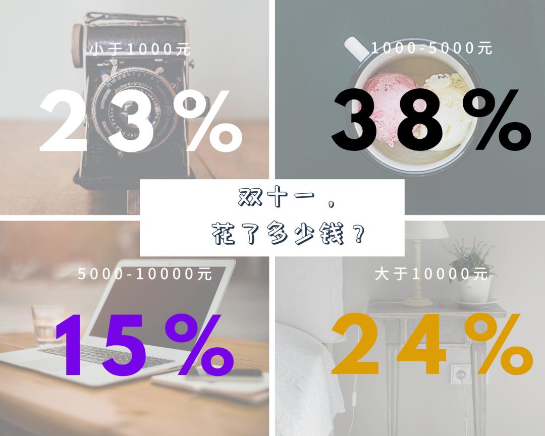 这一次，我终于看清了双十一