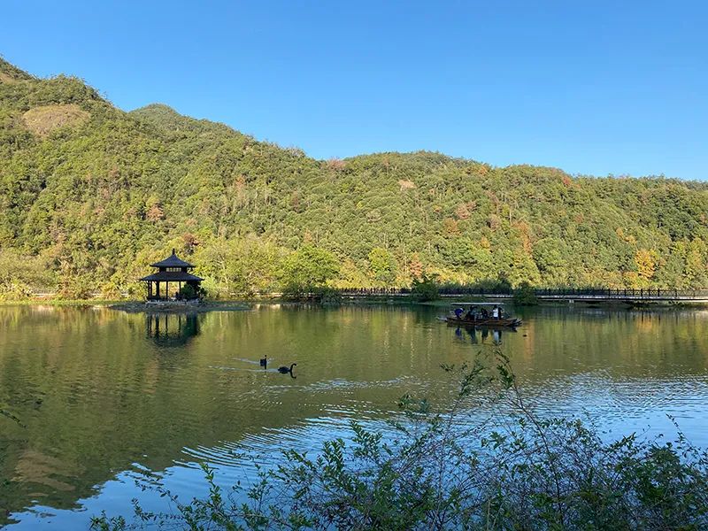 2018年度最佳酒店 (今年最值得去的酒店排名)