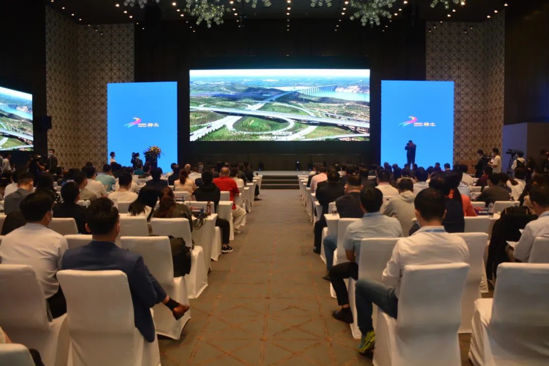 神奇神木,神奇神木永兴