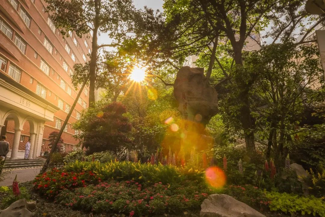 浙江大学医学院附属医院护理招聘,浙江大学医学院附属医院招聘公告