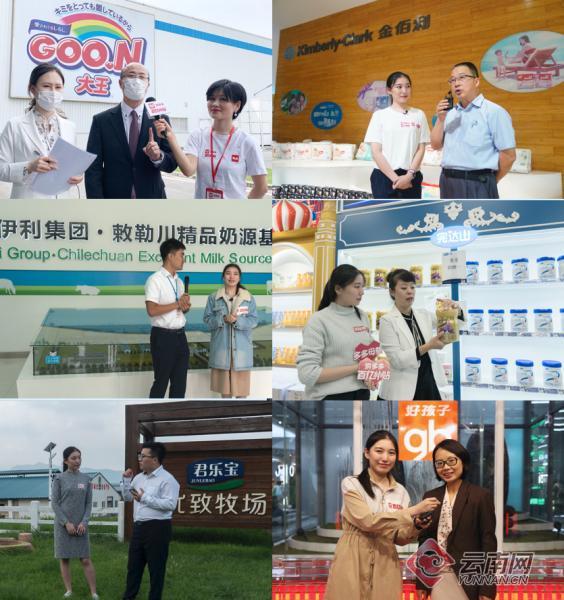 拼多多奶粉100%正品,拼多多正品母婴奶粉店