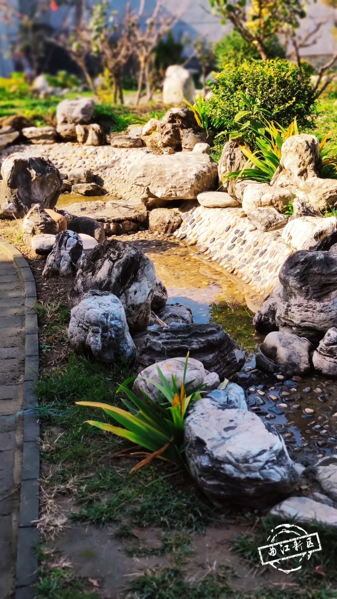 西安曲江南湖里民宿,西安曲江民宿推荐