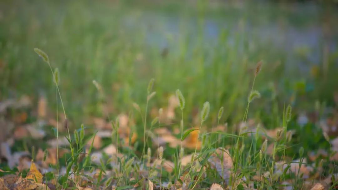 清北现在的情况,清北最新消息