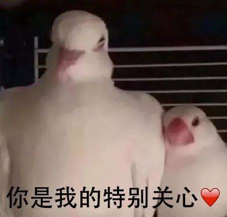 手机常用app的隐藏玩法你知道吗,常用app好用的隐藏功能介绍