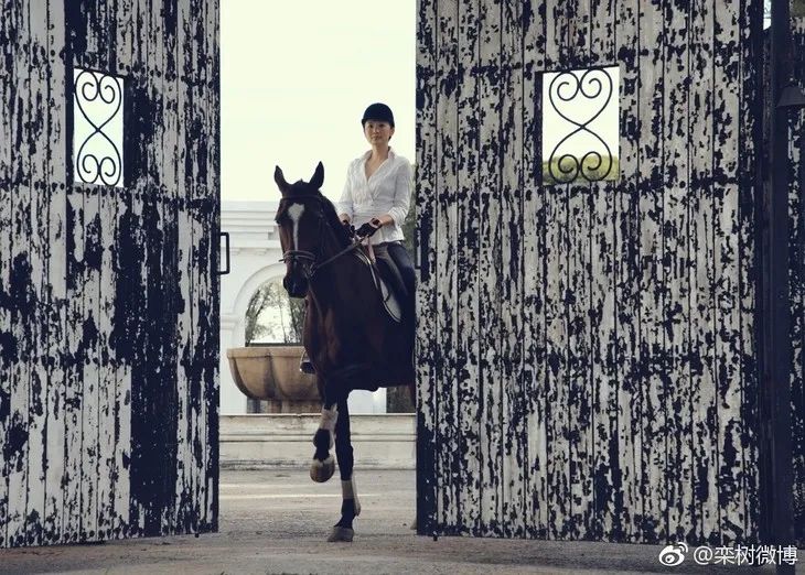 不要修掉我的皱纹完整版,咏梅别把我的皱纹修平了怎么评价