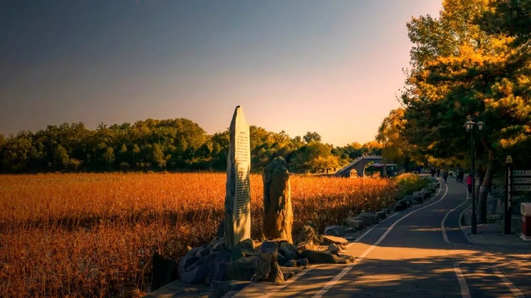 漫谈相对论合集,圆明园圆明时光