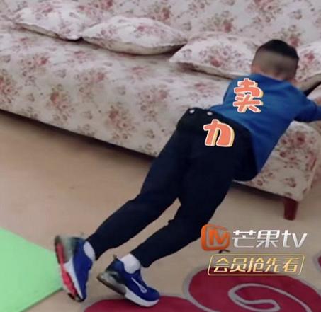 jasper小童鞋,新生日记2jasper