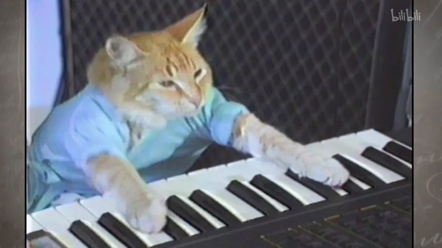 猫的咕噜声能缓解紧张吗,猫的咕噜噜声能够帮助长高吗