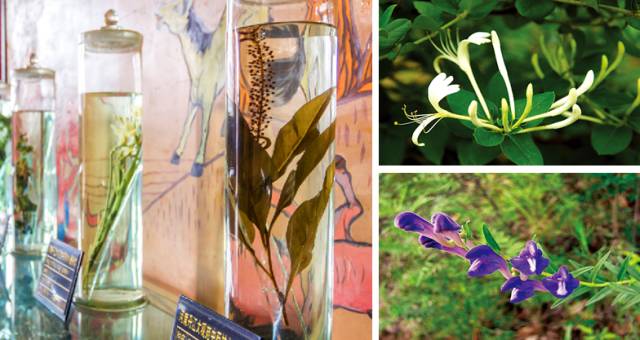 读万卷书行万里路畅游书海,读万卷书行万里路研学视频