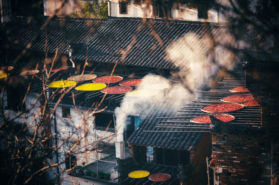 冬天的婺源你见过吗,婺源的秋天到底有多美