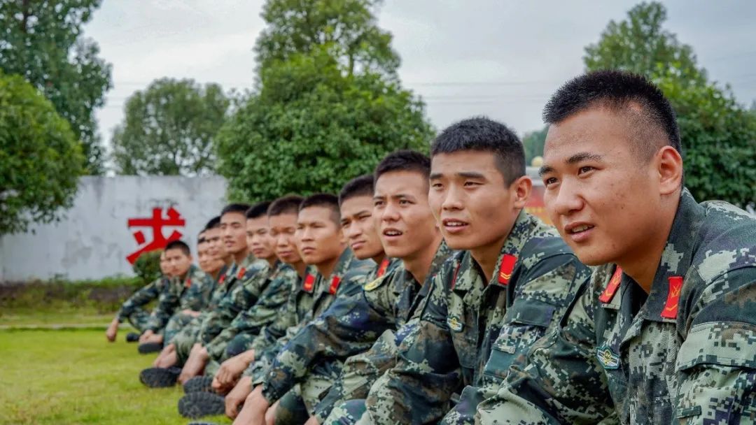 做一棵茁壮成长的树,做一棵大树遮风挡雨
