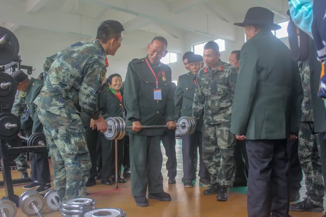 做一棵茁壮成长的树,做一棵大树遮风挡雨