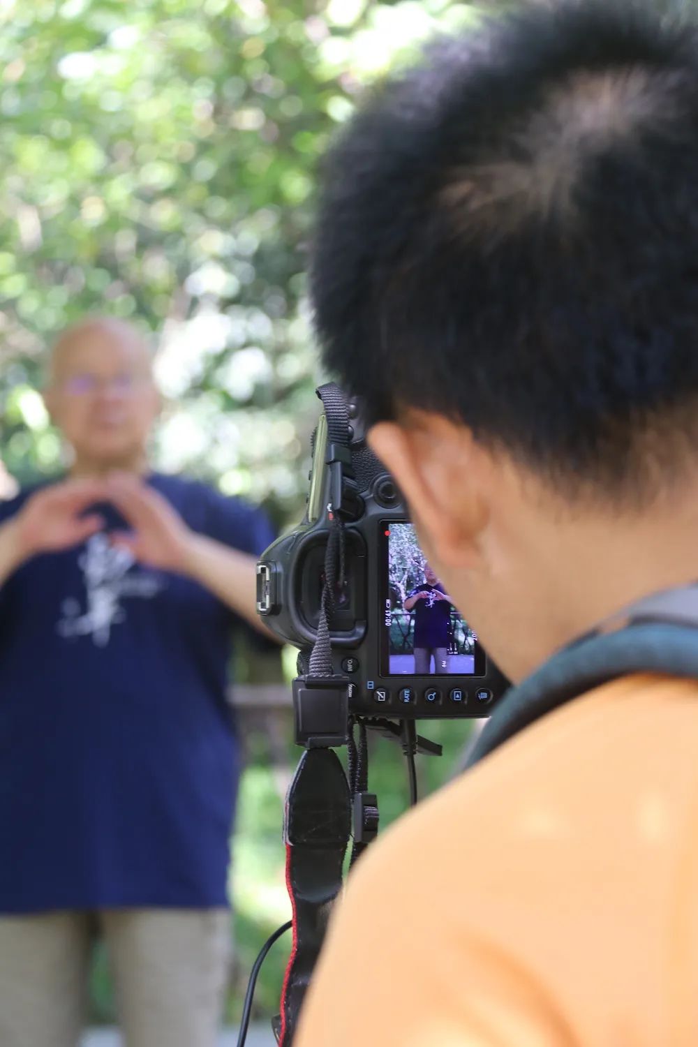 袁庭栋讲麻将全集,袁庭栋讲刘湘之死