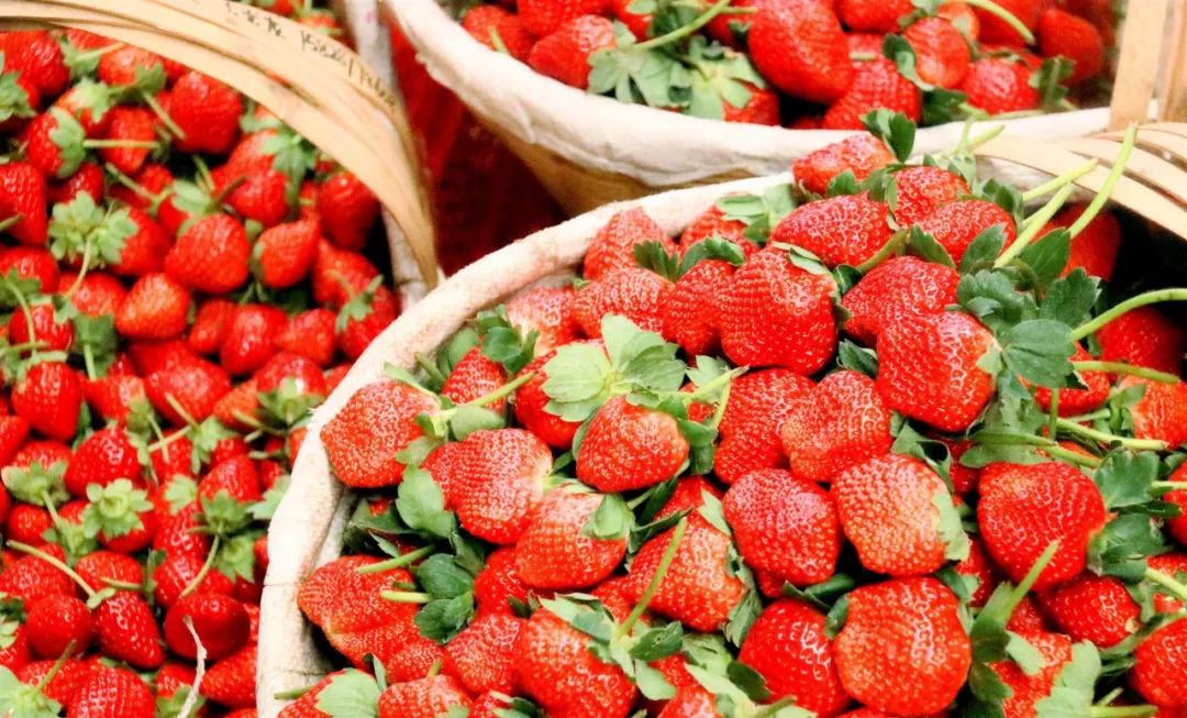 冬天感受阳光的味道,冬天到凉山