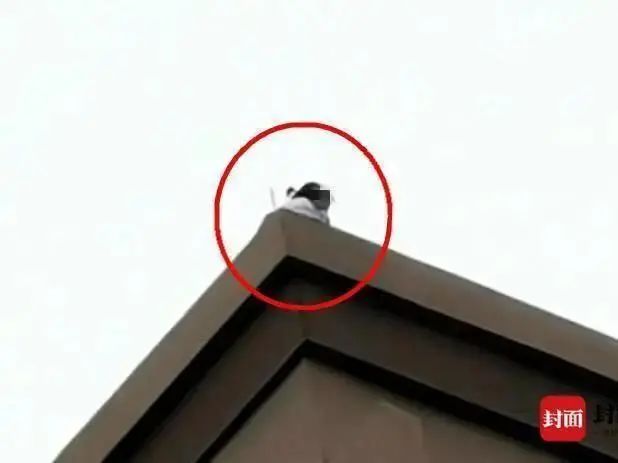 闈掕鐩樼偣,闈掓灚鐩樼偣