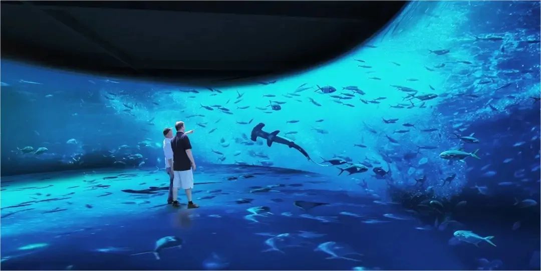 定海游玩推荐适合带孩子,舟山定海带娃好去处