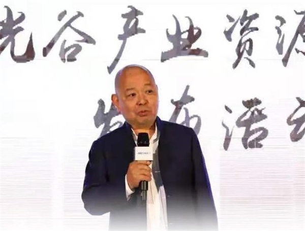 坚守与创变——丽岛二十年创业路