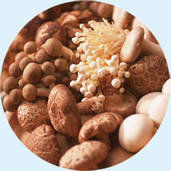 投资巴林,投资热土创业项目