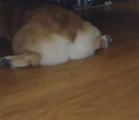 日本“性感小屁屁大赛”，300万网友围观点赞：屁屁虽好，不要贪摸哦