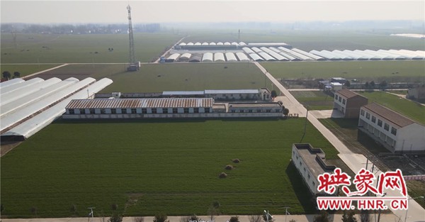 葛店乡朱庄村,朱村美丽村居建设