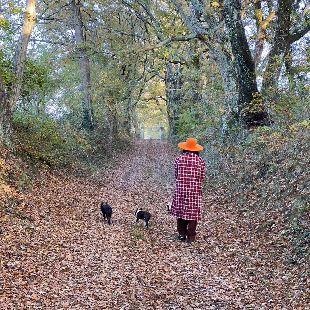 为什么现在满大街都是北面羽绒服,为啥满大街都是北面