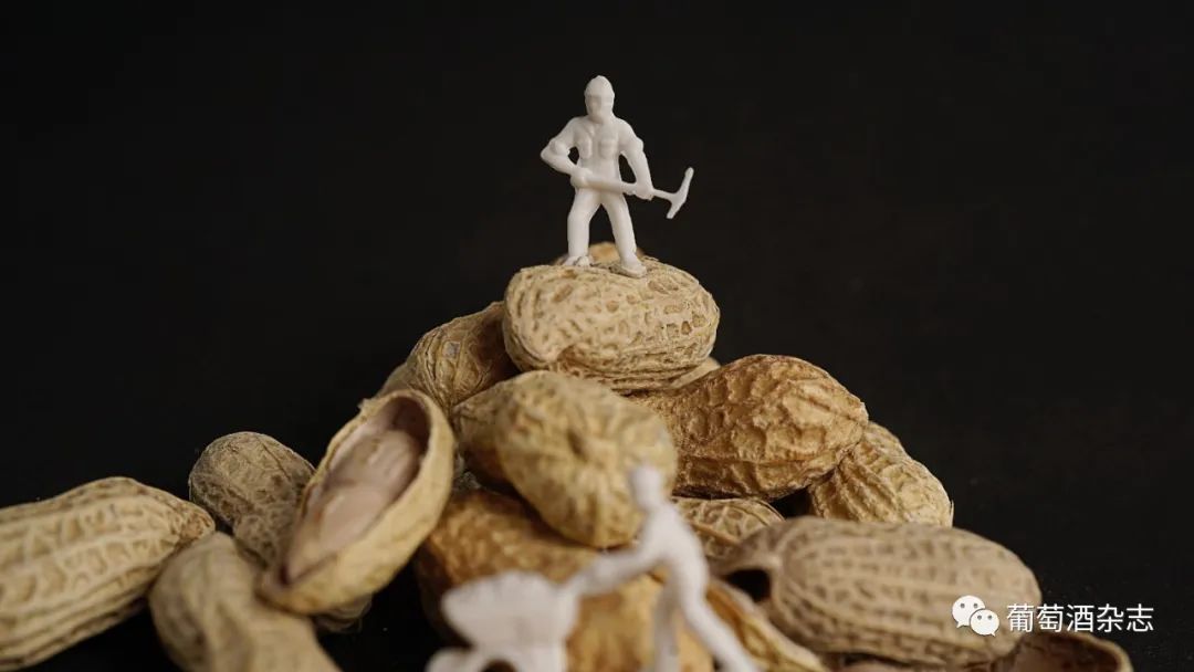 宝藏下酒菜推荐,适合周末喝酒的下酒菜