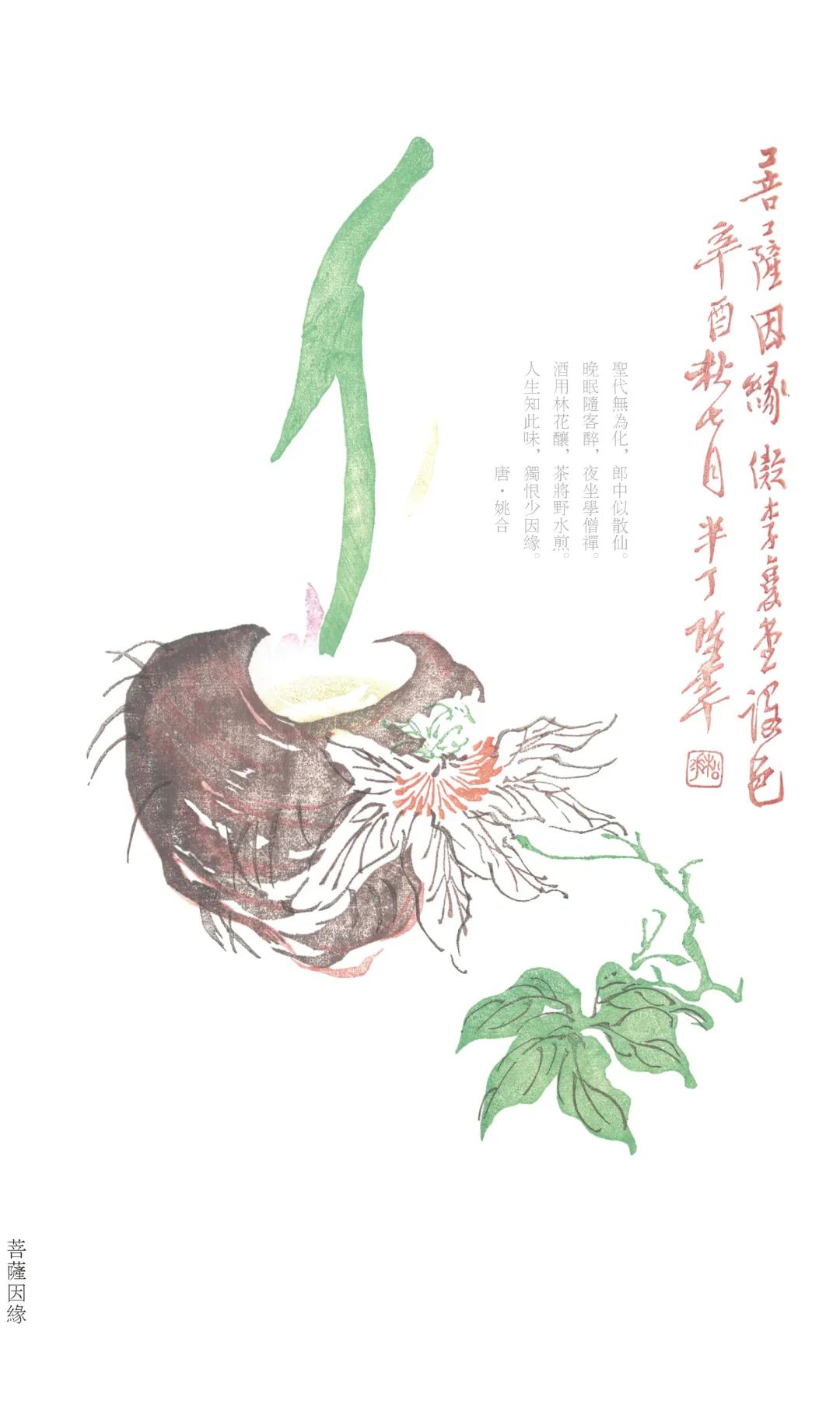 周作人作品全集txt下载,周作人作品全集套装78册