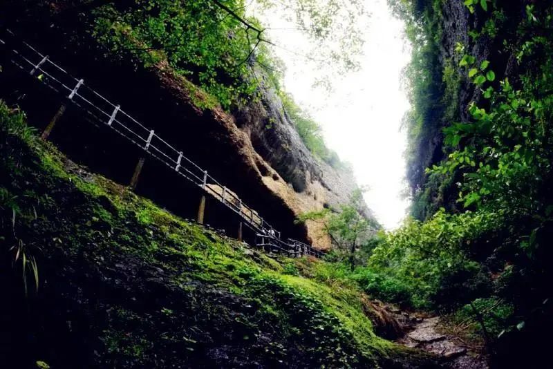 测一测你成为学霸的几率是多少,测一下你是学霸还是学渣的题
