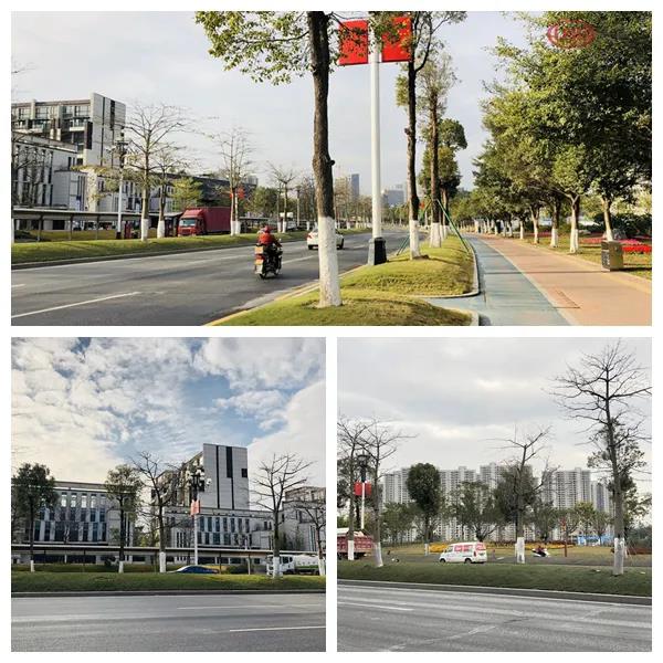 奥园广州黄埔旺村地块,知识城奥园旺村旧改