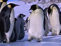 今天天气的文章,今天的文章