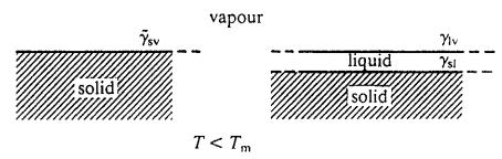 今天天气的文章,今天的文章