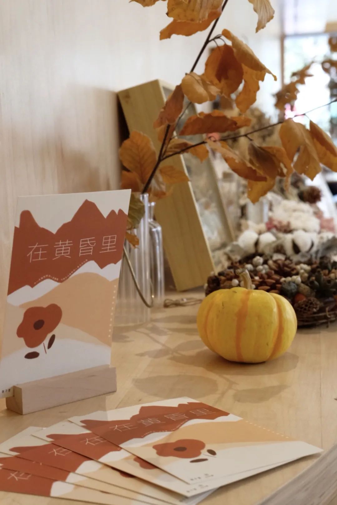 你家楼下的免费展览空间，晒着暖烘烘的太阳散步去吧