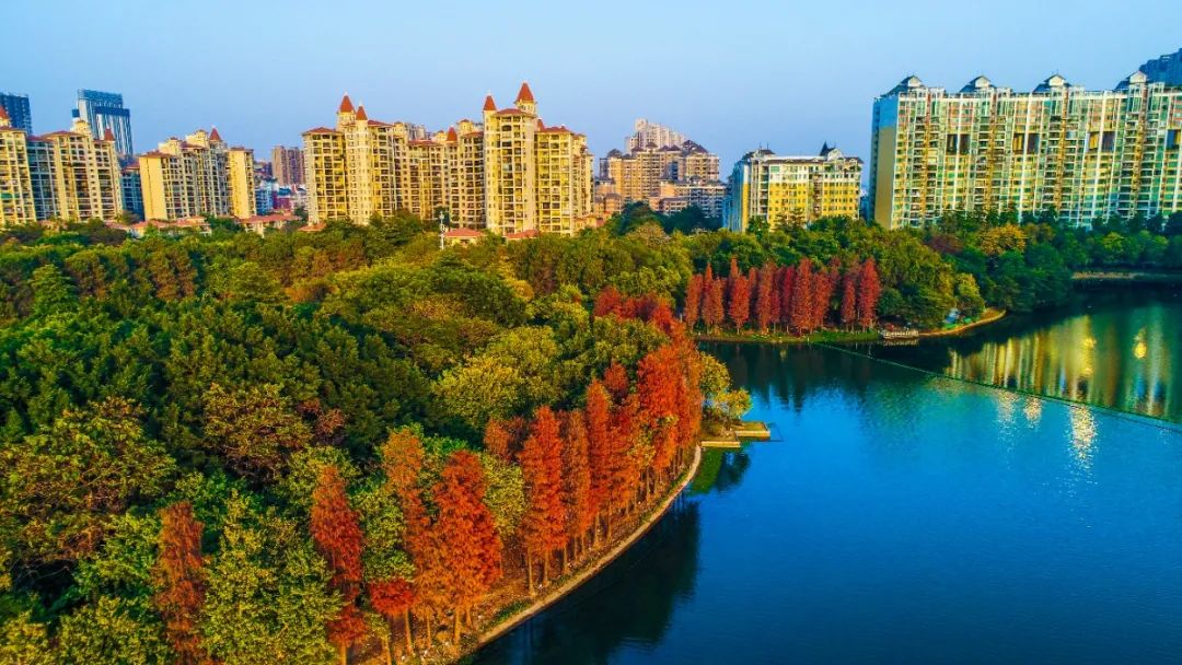 1月最美的佛山藏在这里!全部免费赏!