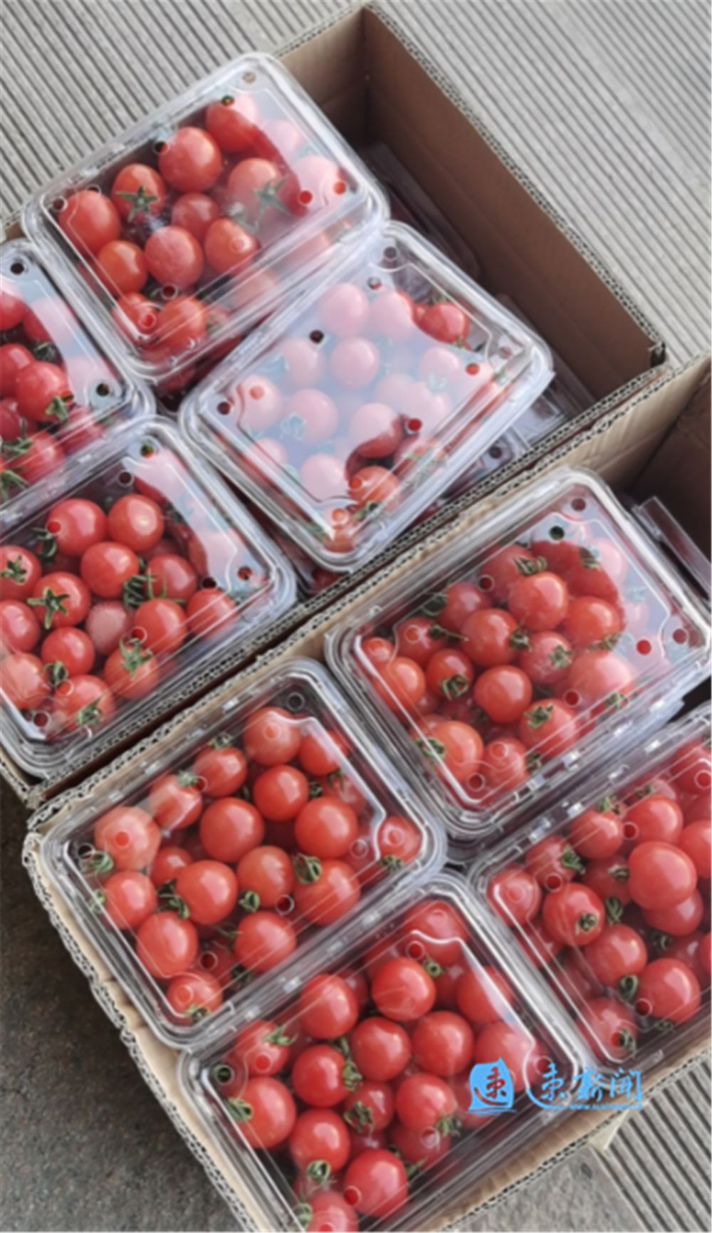 速新闻直播,速新闻