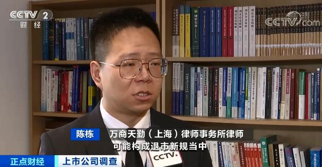 原实控人财务造假罚款由谁承担,连续三年财务造假就被退市