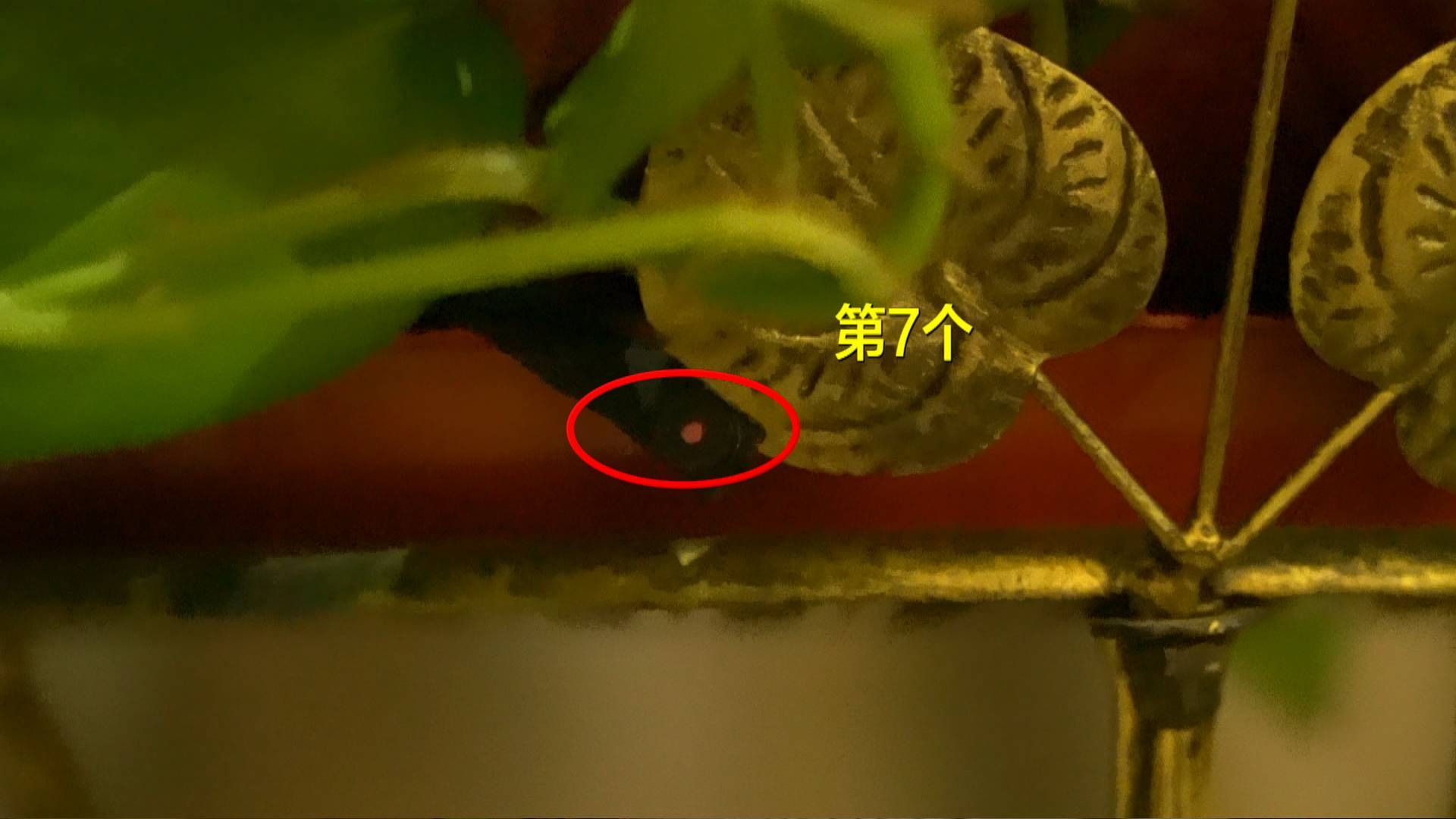 隐秘的“眼睛”⑤|记者小白接受反*拍偷**专家实地测验:酒店房间里找出8个*拍偷**摄像头她究竟有多难?