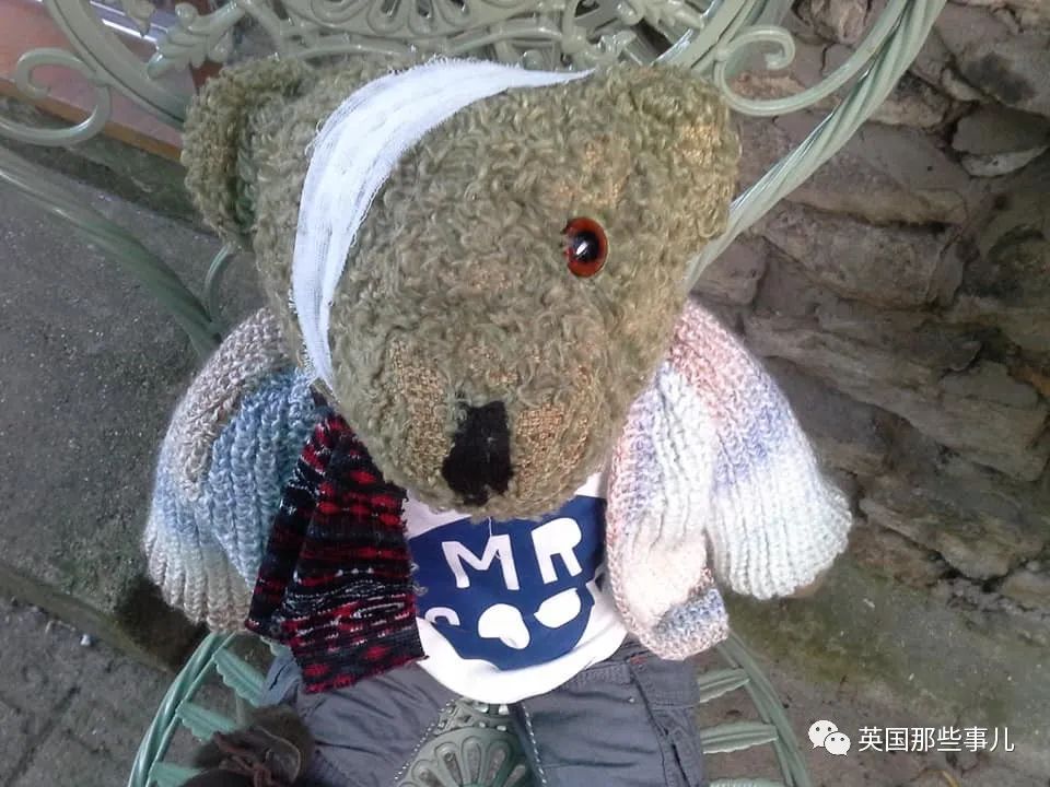 泰迪熊治愈,治愈泰迪熊