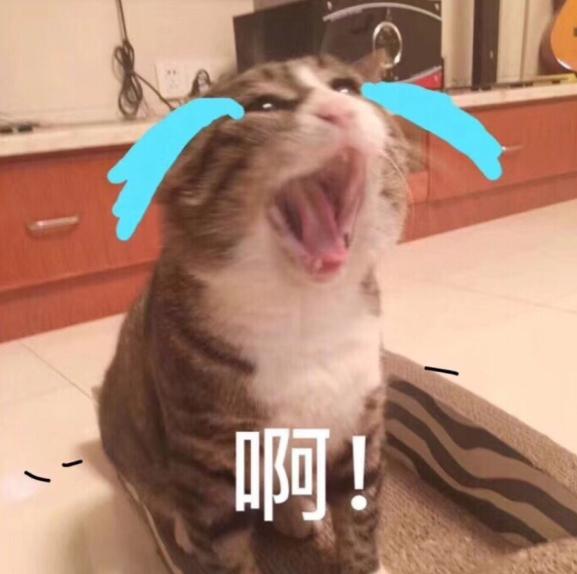 最近韩国瘦脸针事件新闻,韩国瘦脸针有国家批文了吗