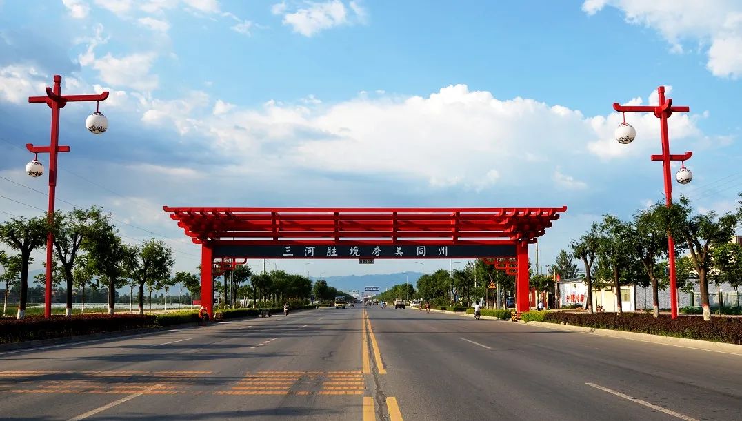 大荔实施乡村振兴,大荔助力乡村振兴