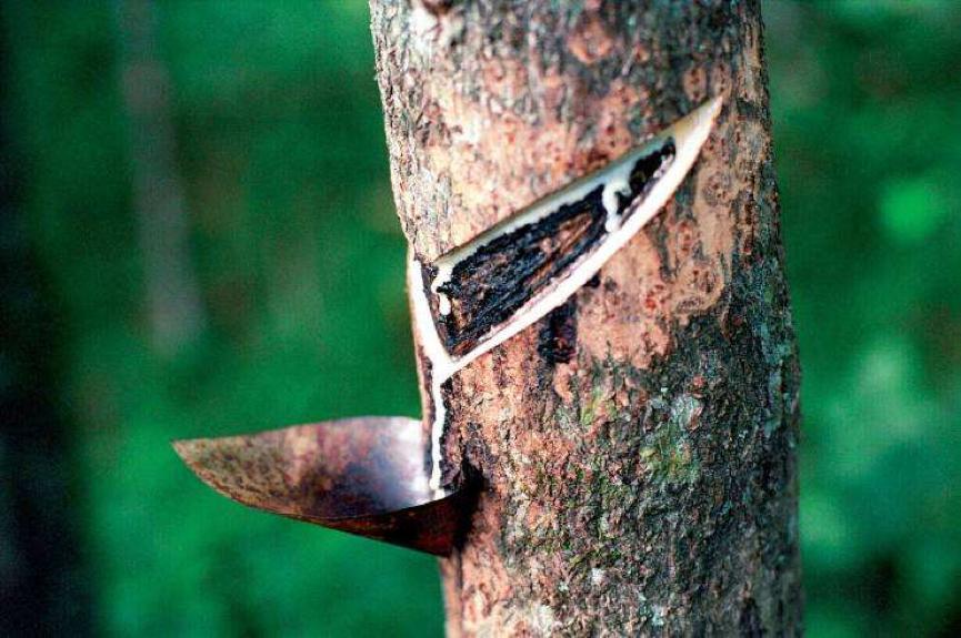 中国人对茶叶的执念,中国人的茶道