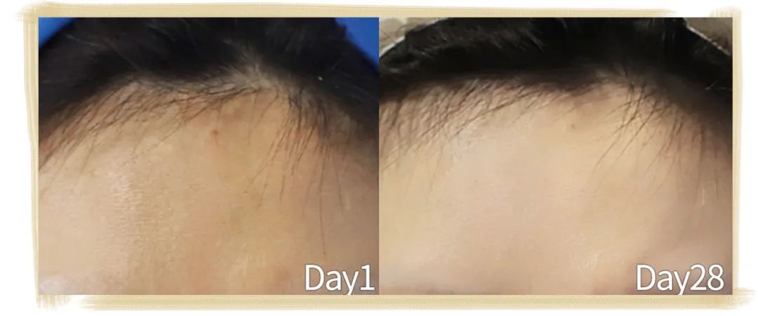 21天测试,21天测评