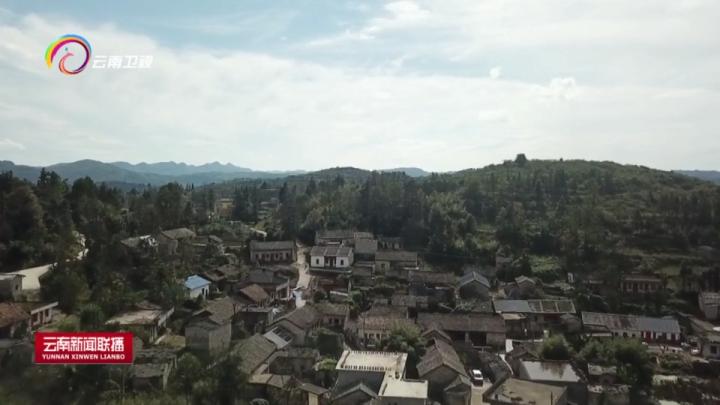 富源魔芋大县打造魔芋产业,富源县富源村魔芋基地