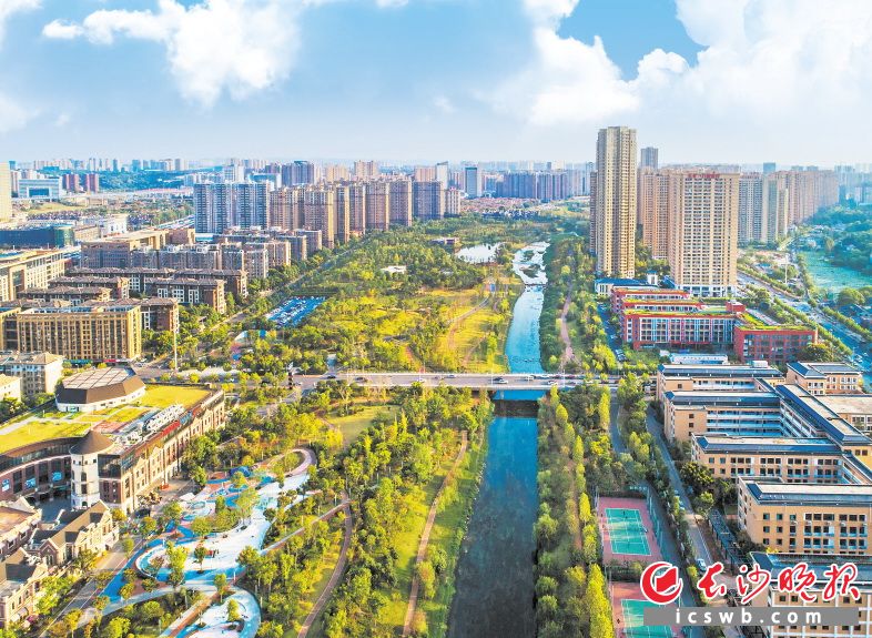 领跑之路|晚报特稿